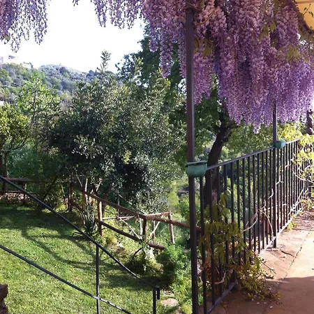 Il Mandorlo