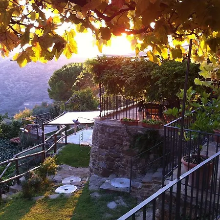 Il Mandorlo Bed and breakfast